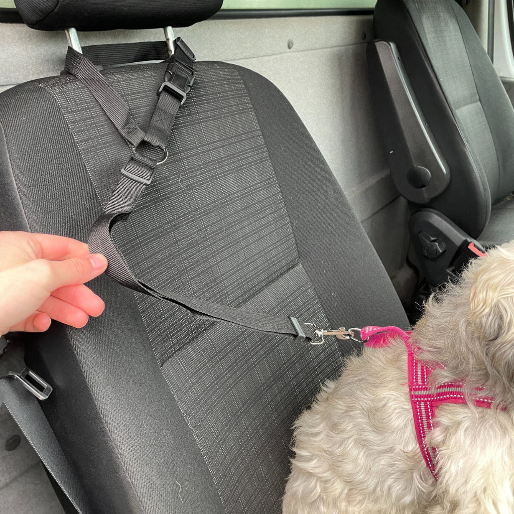 HundBälte - Slipp oro. Ge din hund säkerhet i bilen