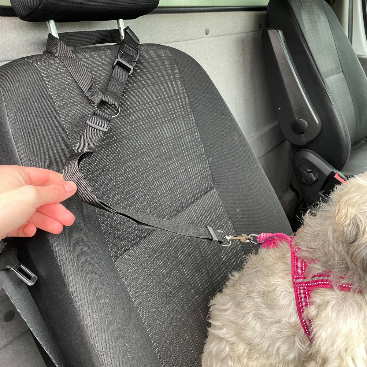 HundBälte - Slipp oro. Ge din hund säkerhet i bilen