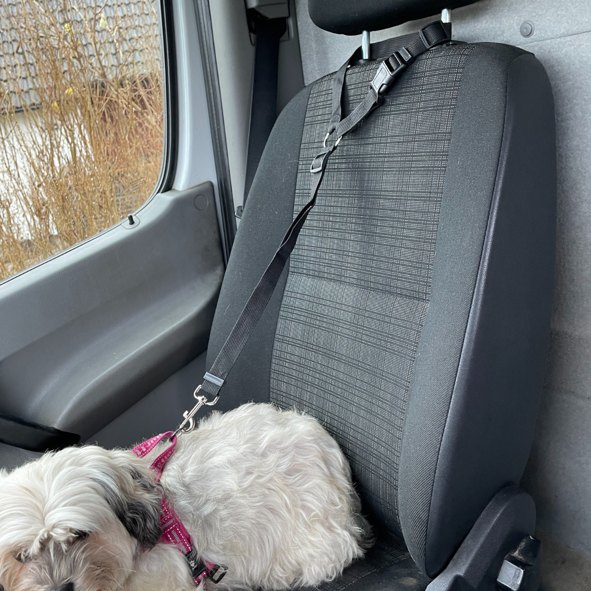 HundBälte - Slipp oro. Ge din hund säkerhet i bilen