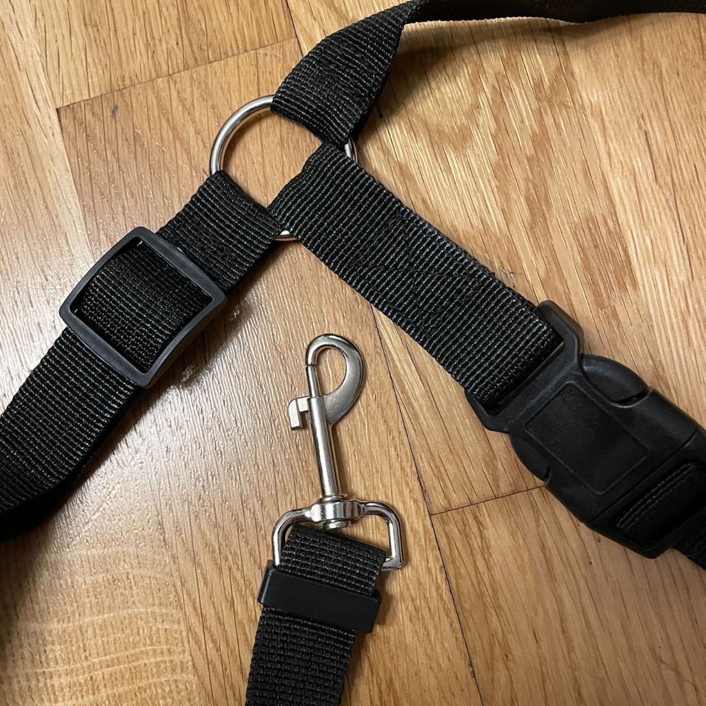 HundBälte - Slipp oro. Ge din hund säkerhet i bilen