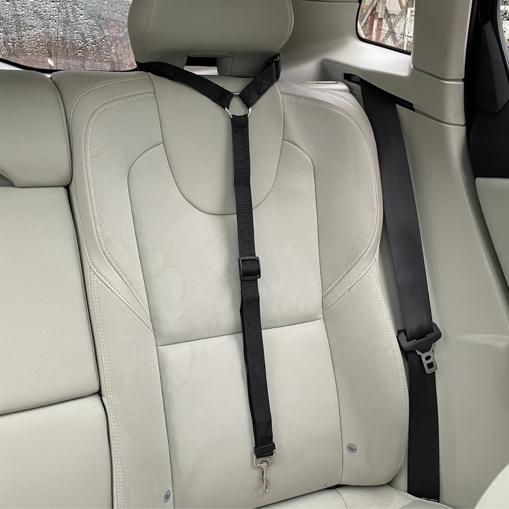 HundBälte - Slipp oro. Ge din hund säkerhet i bilen