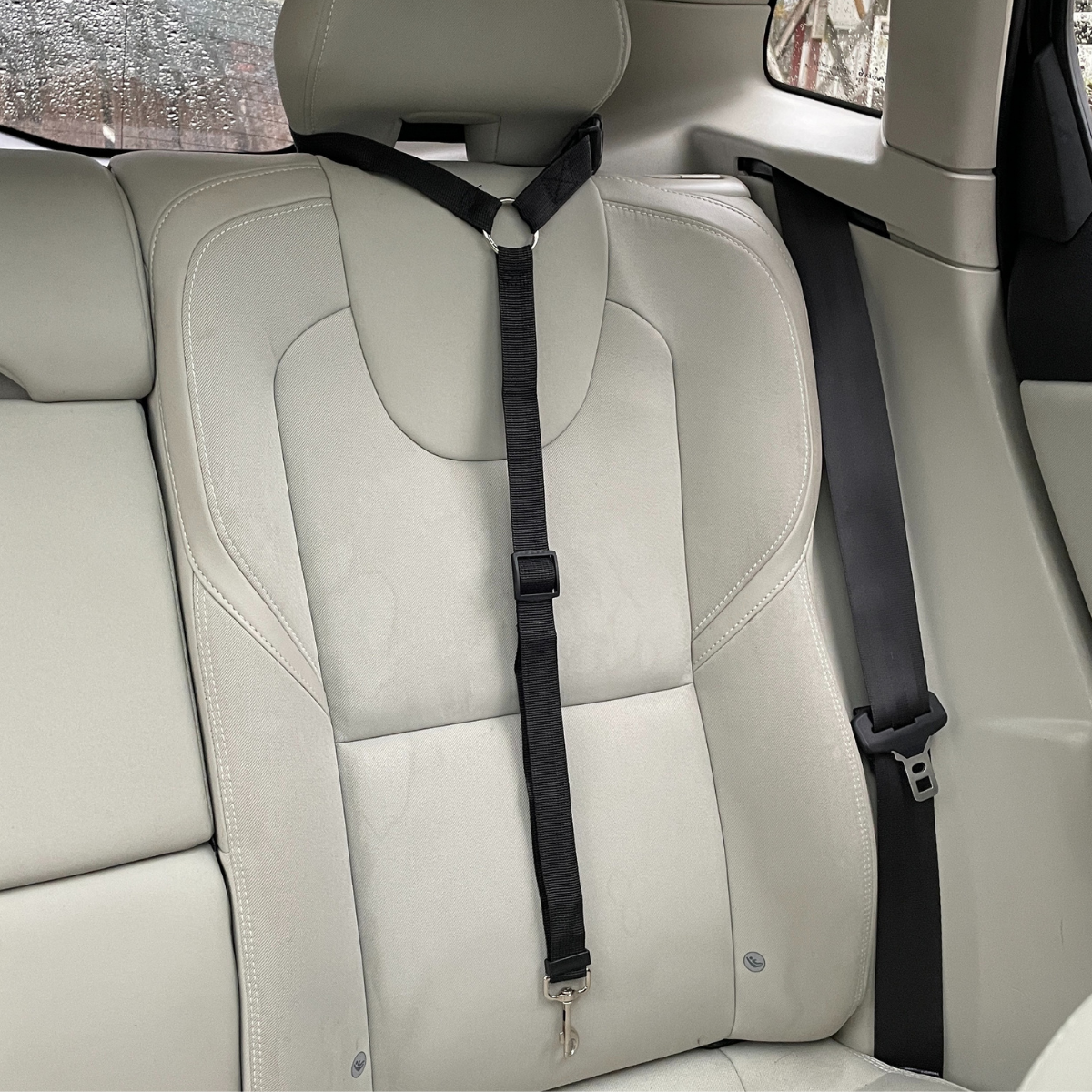 HundBälte - Slipp oro. Ge din hund säkerhet i bilen