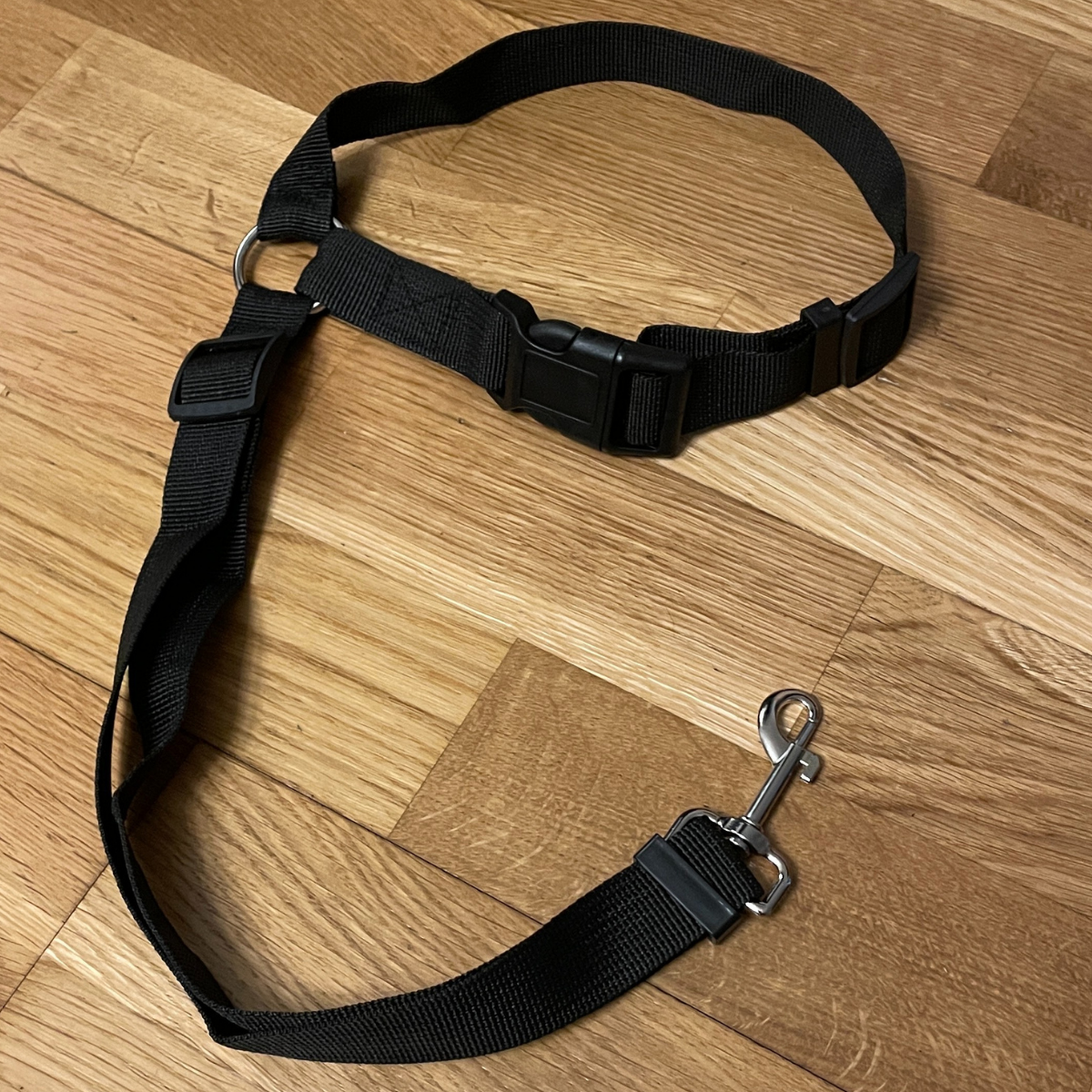 HundBälte - Slipp oro. Ge din hund säkerhet i bilen